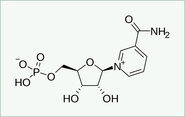 NMN molecular structure